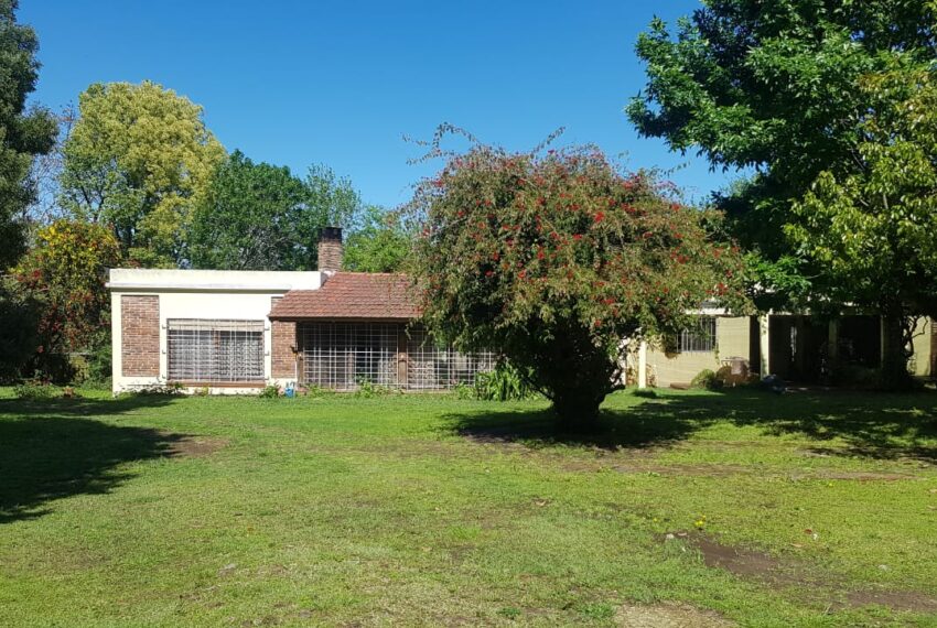 WhatsApp Image 2019-10-18 at 11.21.23 AM (1)