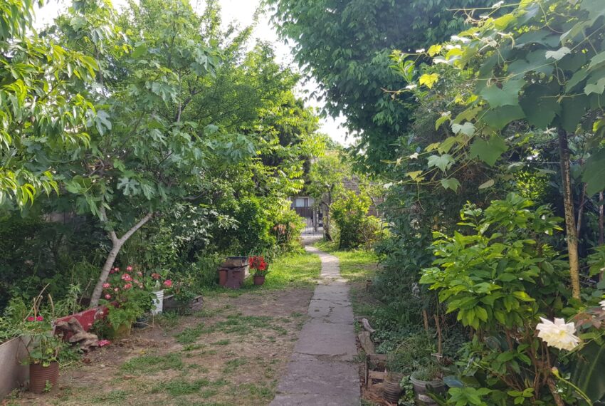 WhatsApp Image 2021-11-09 at 06.55.19 (2)