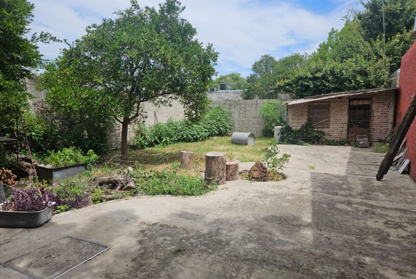 WhatsApp Image 2025-02-04 at 14.22.54