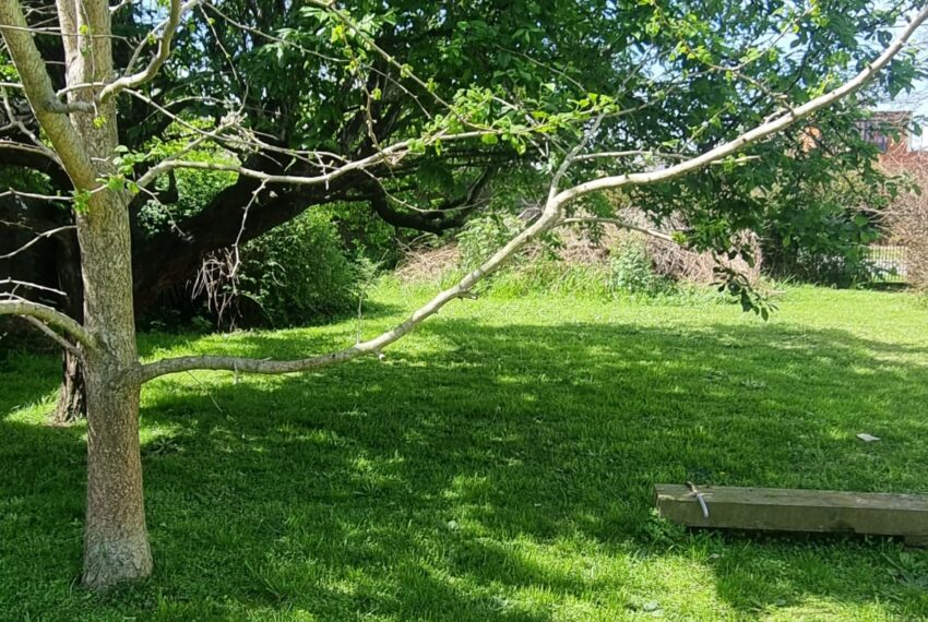 WhatsApp Image 2025-09-29 at 15.55.12