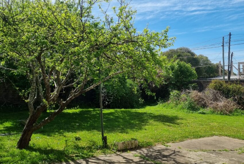 WhatsApp Image 2025-09-29 at 15.55.19