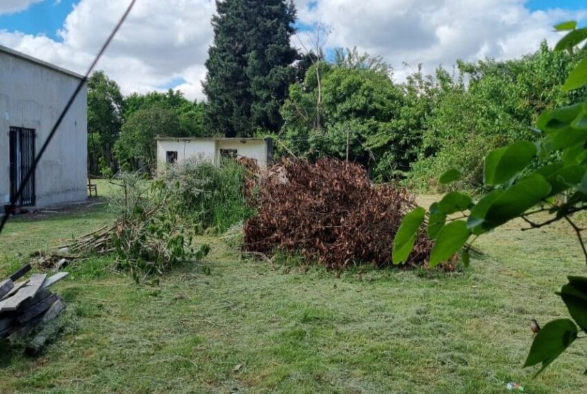 WhatsApp Image 2025-10-29 at 10.20.09 (1)