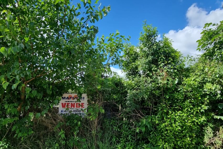 WhatsApp Image 2025-10-29 at 10.20.09