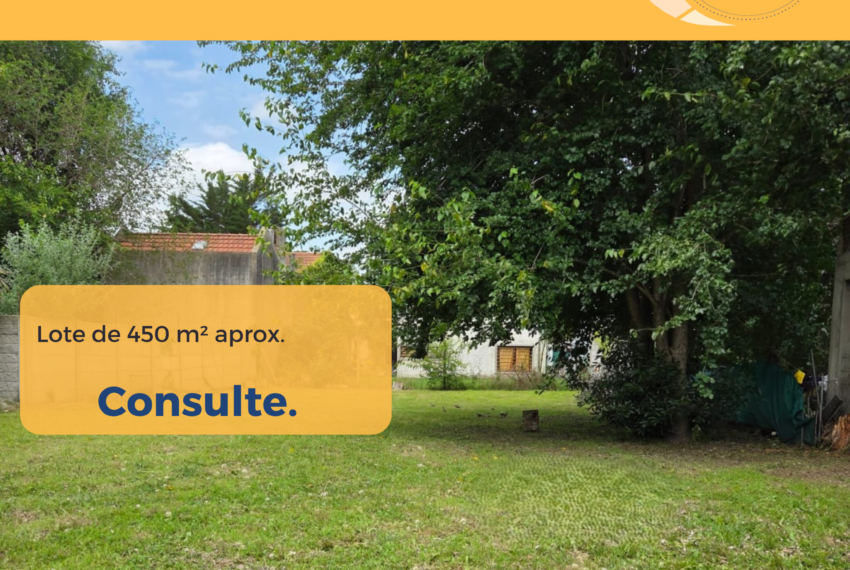 Copia de 116 e19 y 20