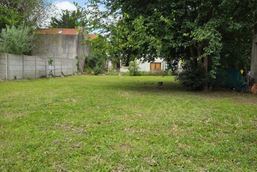 WhatsApp Image 2026-02-27 at 15.30.38