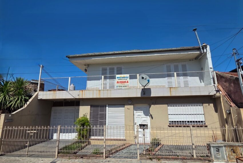 WhatsApp Image 2026-03-17 at 11.28.46