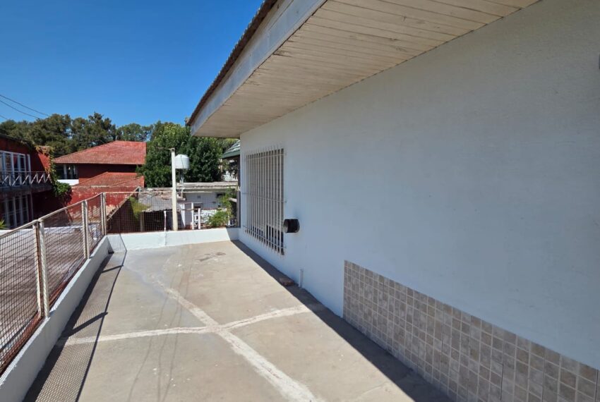 WhatsApp Image 2026-03-17 at 11.46.26