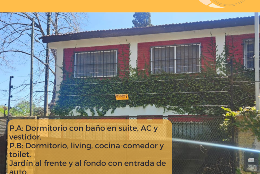 Copia de 303 y 361